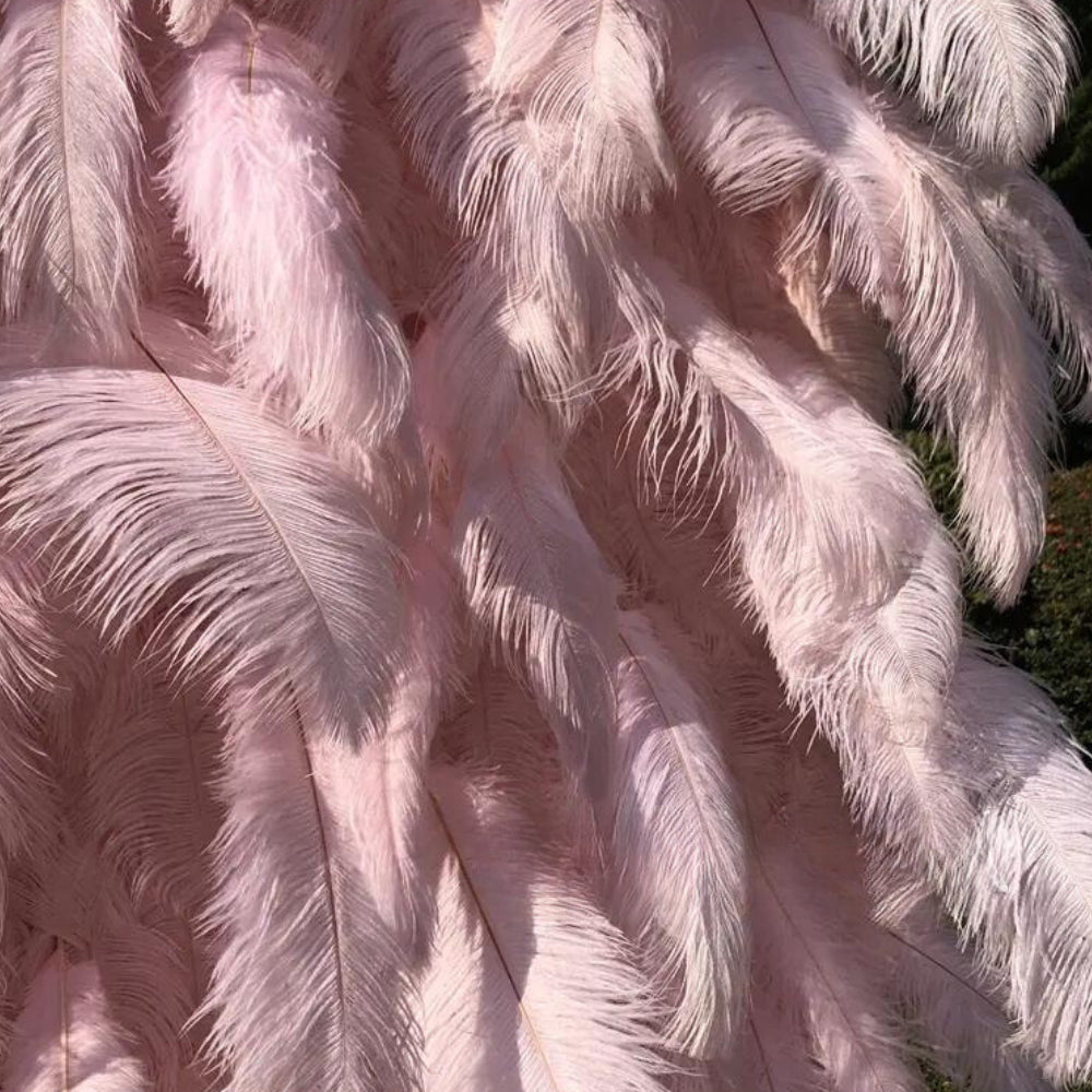 Light Pink Feather Wall - 075