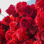 Deluxe Pure Red Wild Rose Flower Wall - 021