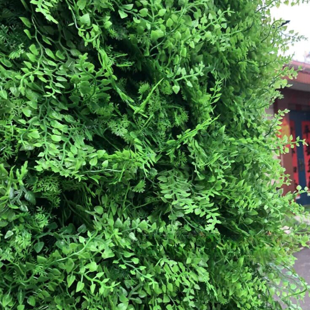 California Hedge Greenery Wall - 504