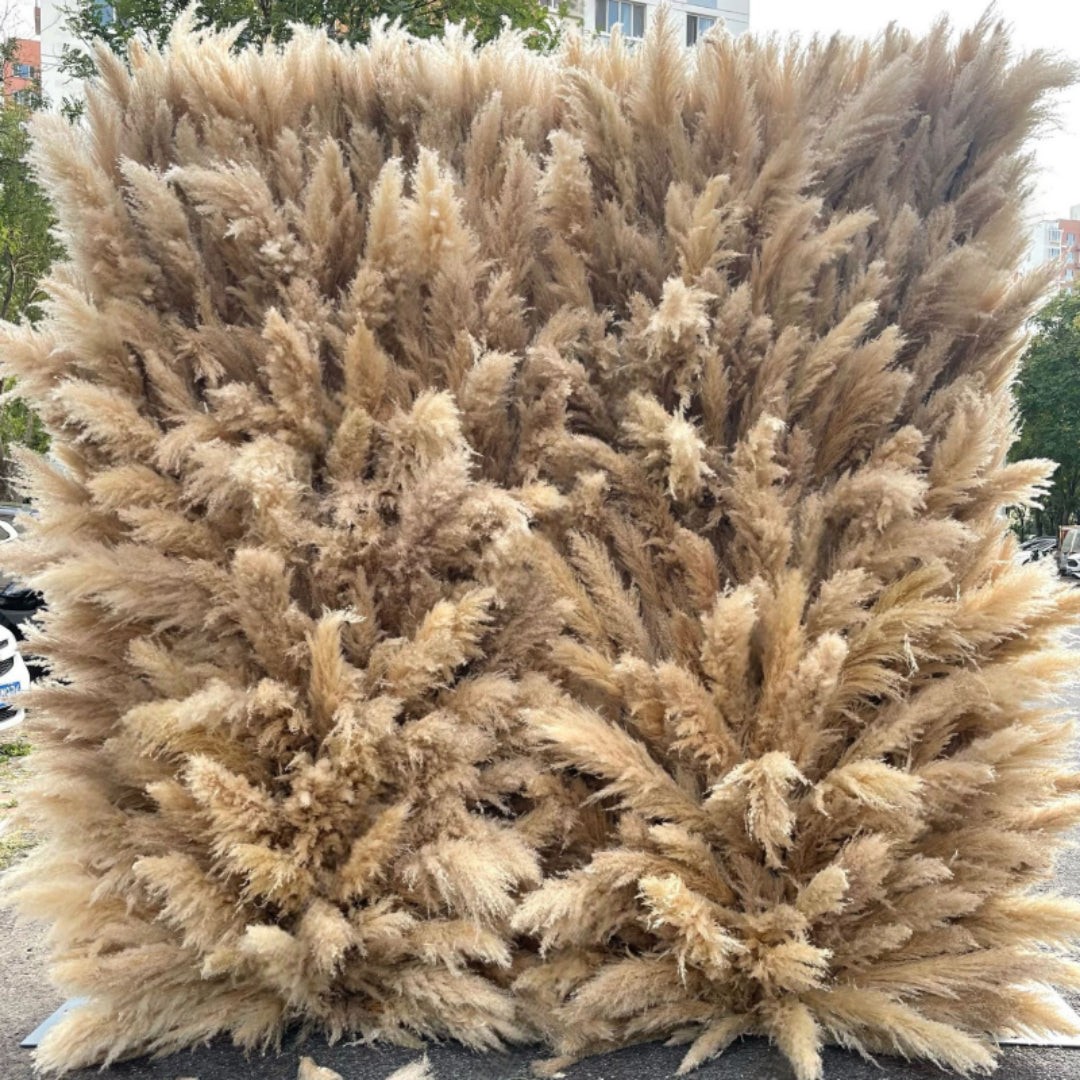 Tall Dark Tan Deluxe Wild Pampas Premium Flower Wall - 200