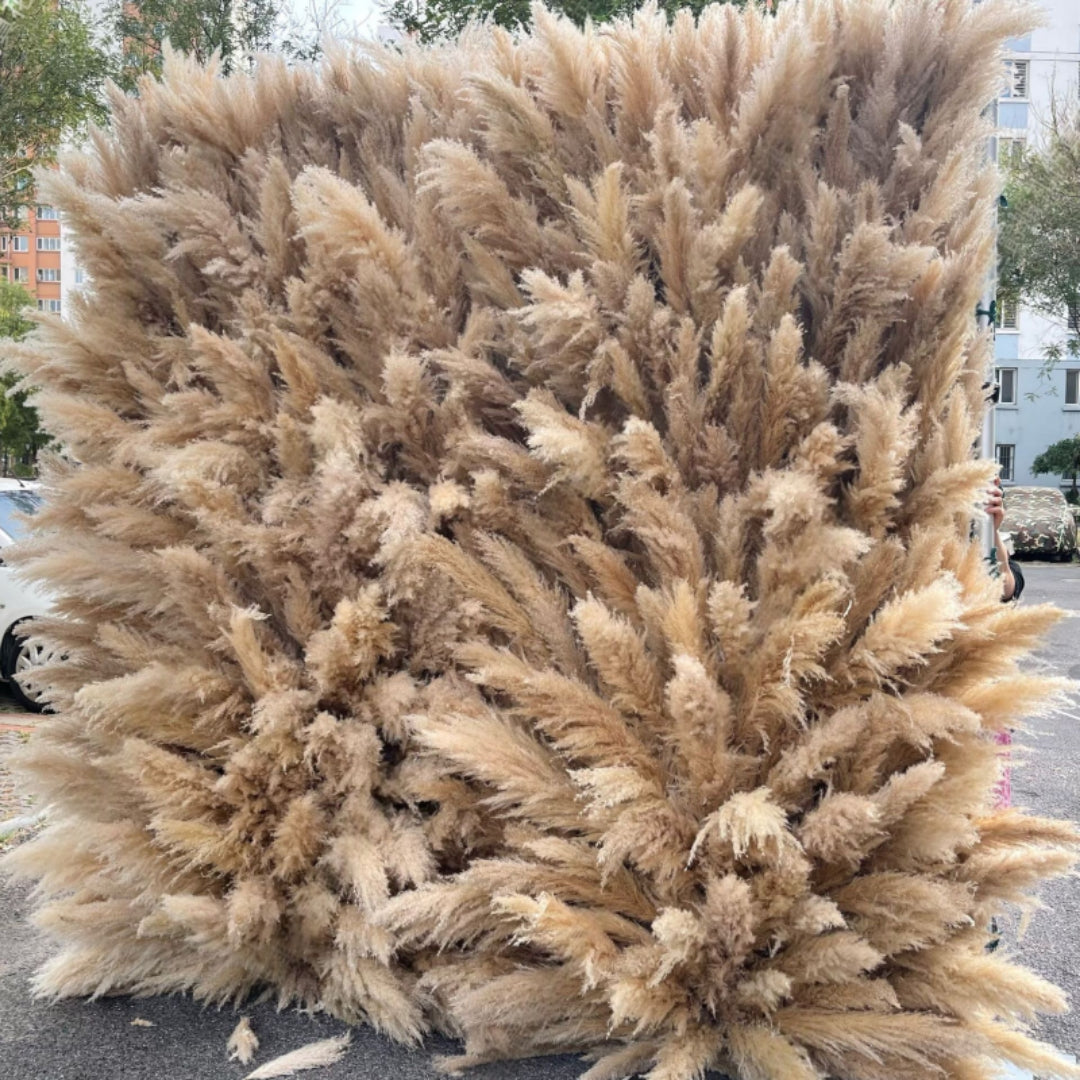 Tall Dark Tan Deluxe Wild Pampas Premium Flower Wall - 200