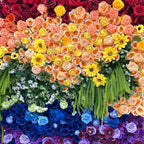 Rainbow Rose Premium Flower Wall - 100