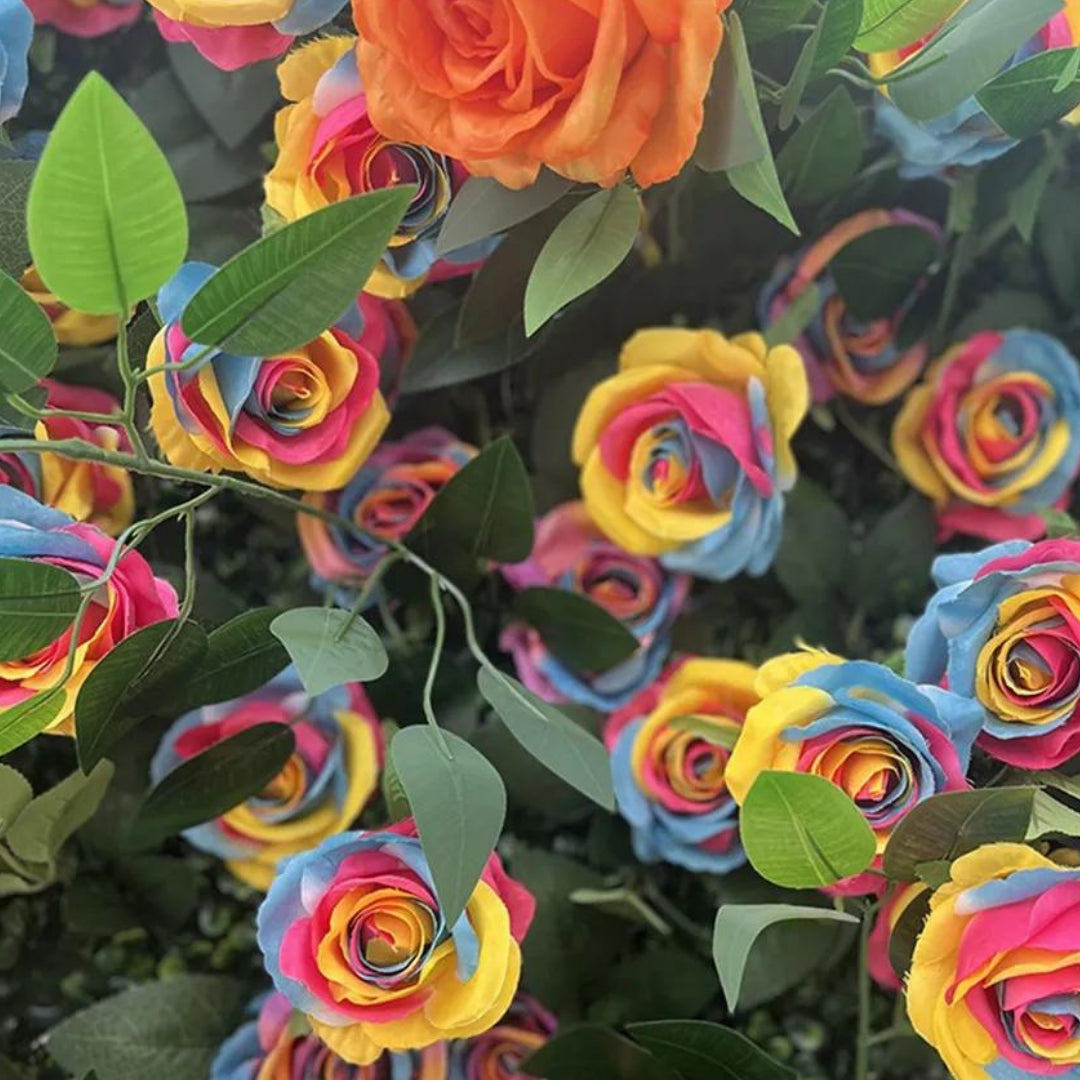 Ultimate Rainbow Rose Premium Flower Wall - 007