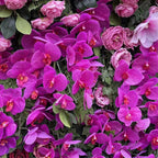 Dripping Fuscia, White and Pink Premium Flower Wall - 038