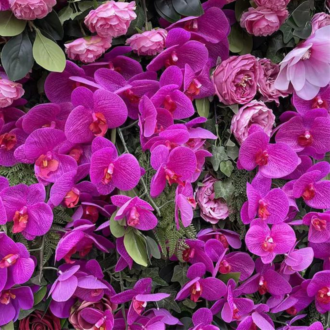 Dripping Fuscia, White and Pink Premium Flower Wall - 038