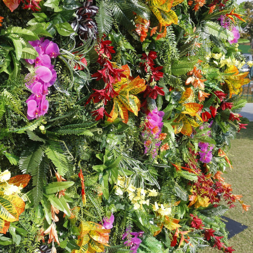 Dripping Tropical Premium Flower Wall - 262