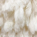 White Feather Wall - 071
