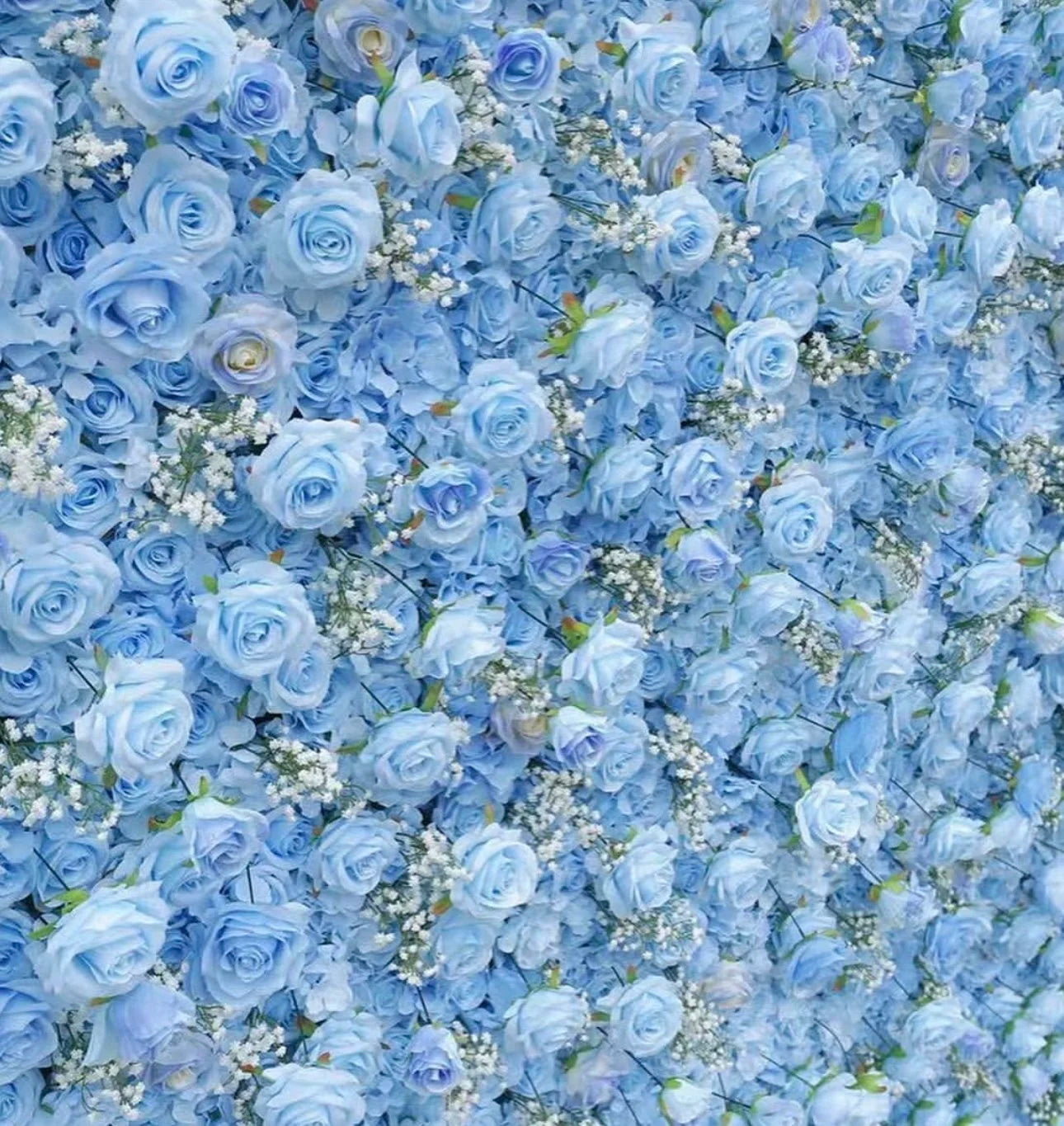 Light Blue Rose & Babys Breath Flower Wall - 334