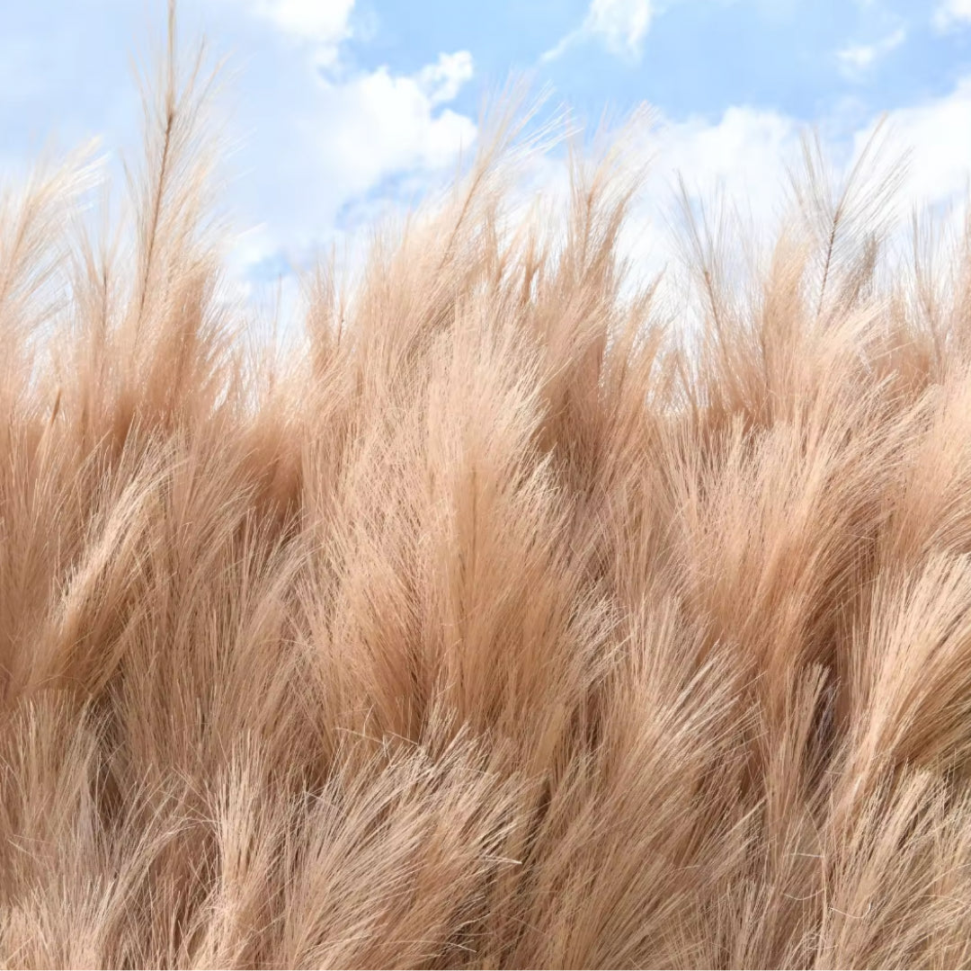 Brown Premium Pampas Grass Wall - 080