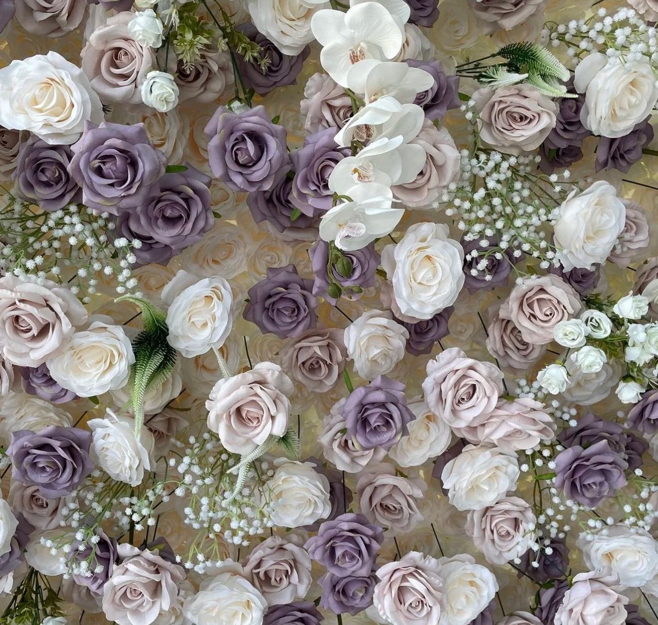 Babys Breath White. Purple Lavender Rose Flower Wall - 255