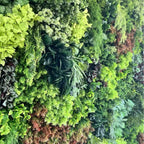 Botanical Dream Premium Greenery Flower Wall - 507