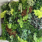 Botanical Dream Premium Greenery Flower Wall - 507