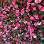 Pink & Greenery Flurry Premium Flower Wall - 116