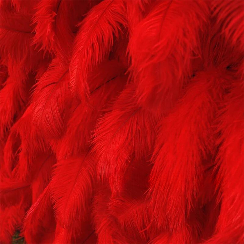 Red Feather Wall - 073