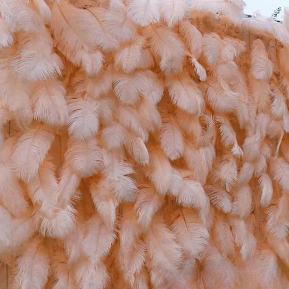 Peach Feather Wall - 076