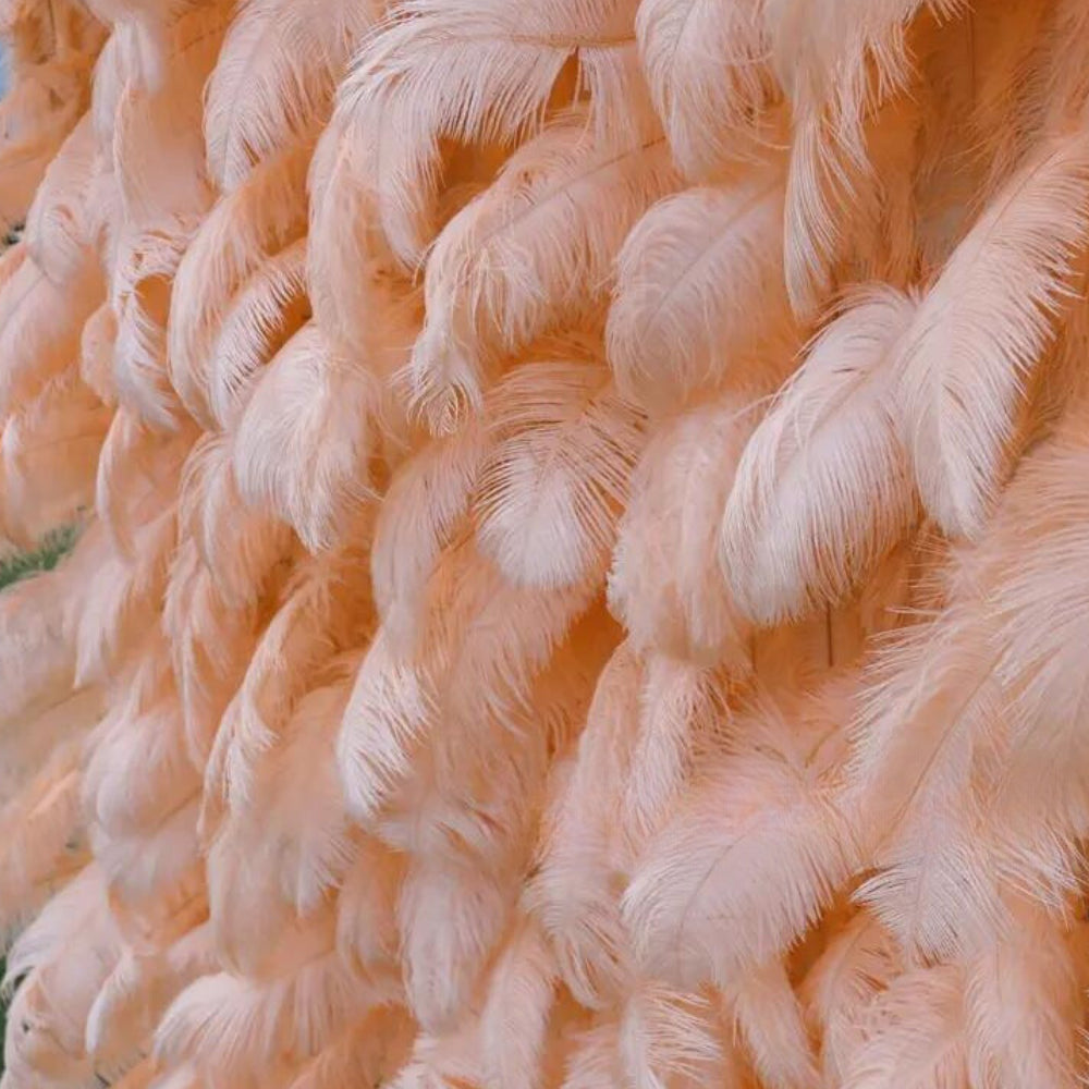 Peach Feather Wall - 076