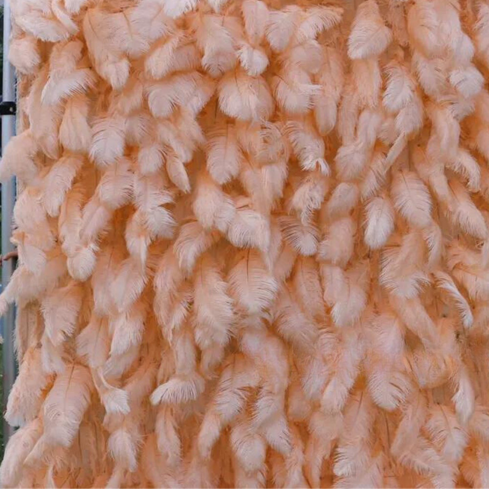 Peach Feather Wall - 076