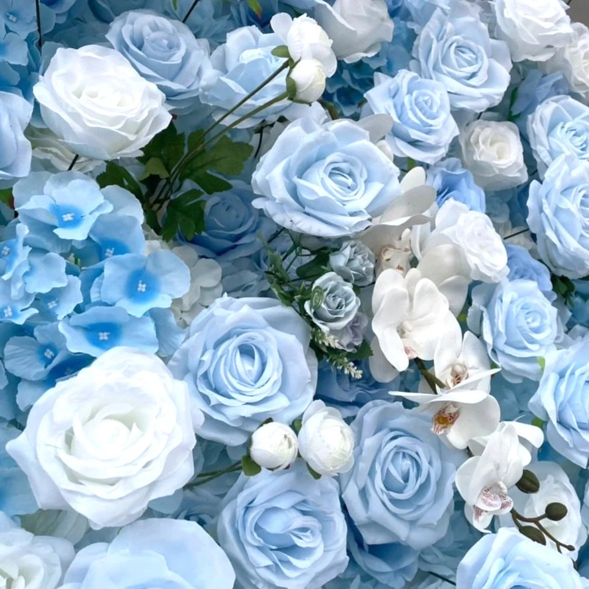 Blue & White Wild Rose Premium Flower Wall - 135
