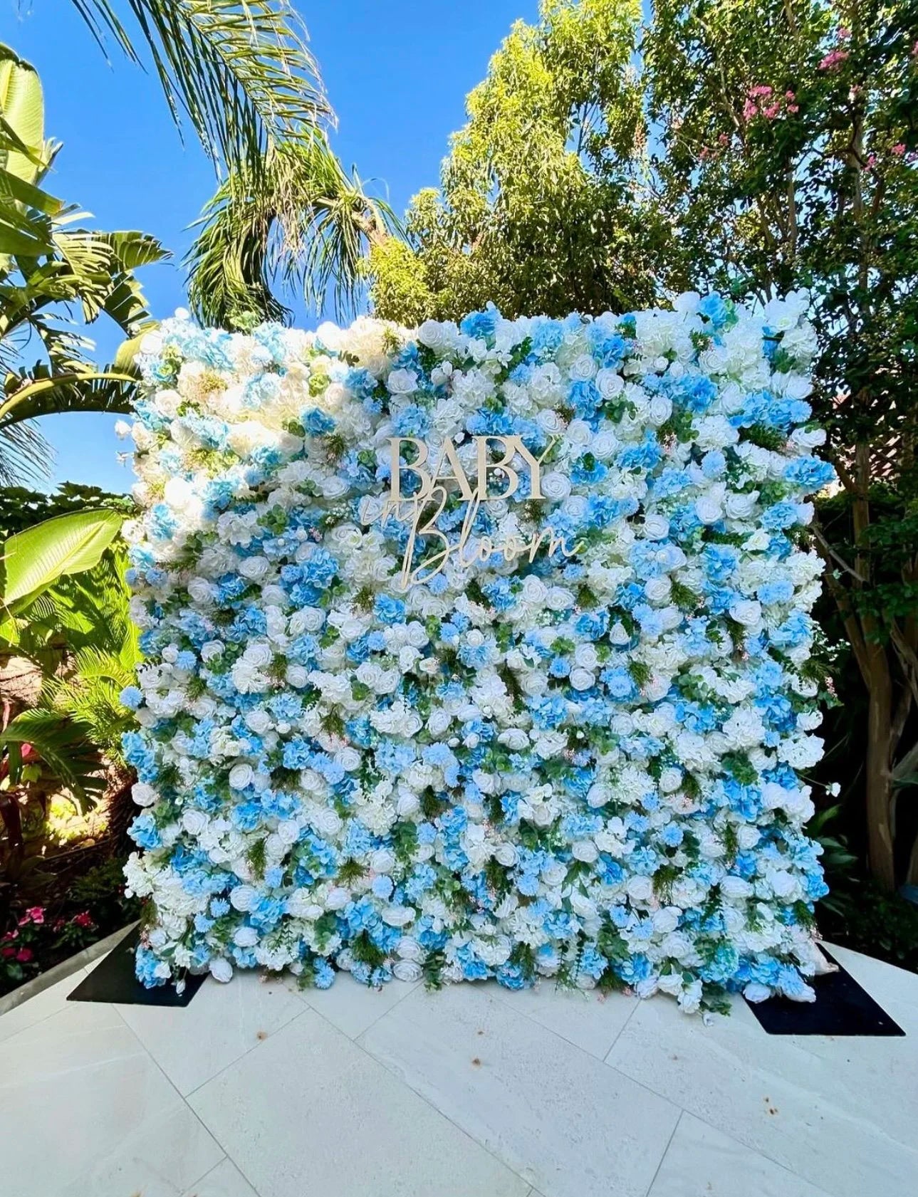 White & Blue Wild Rose Premium Flower Wall - 034