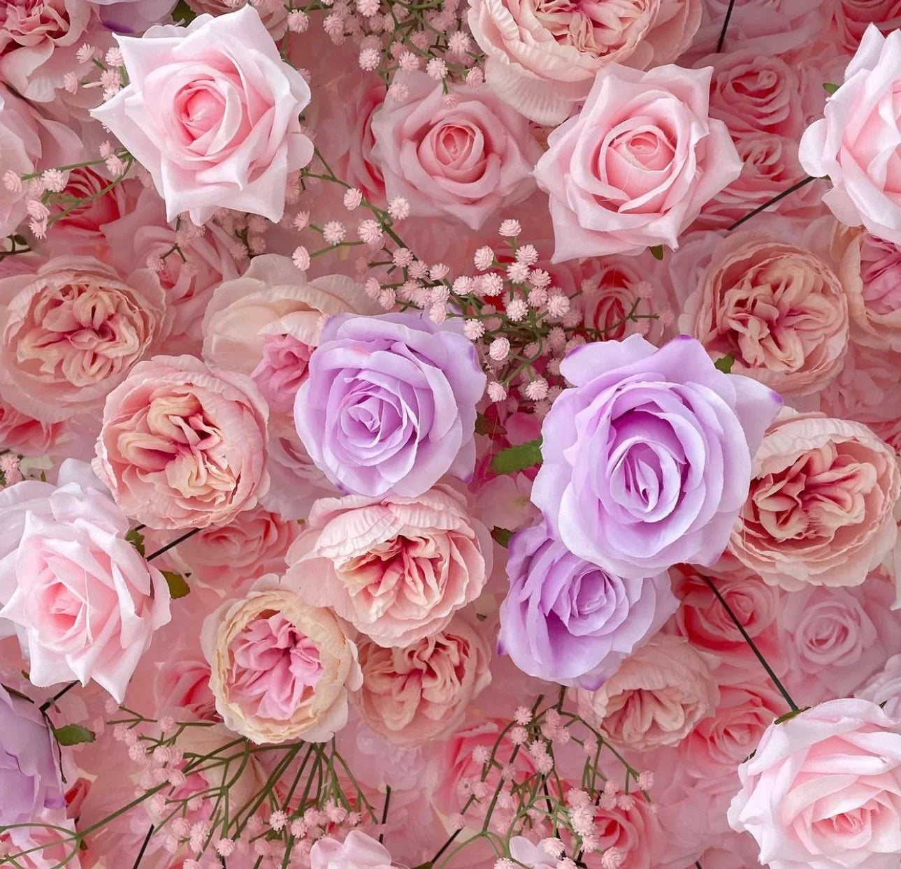 Baby's Breath Pink + Purple Rose Flower Wall - 068