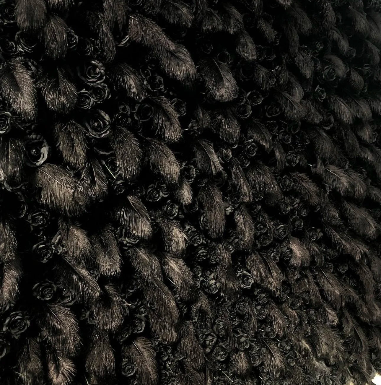 Black Wild Rose Feather Wall - 026
