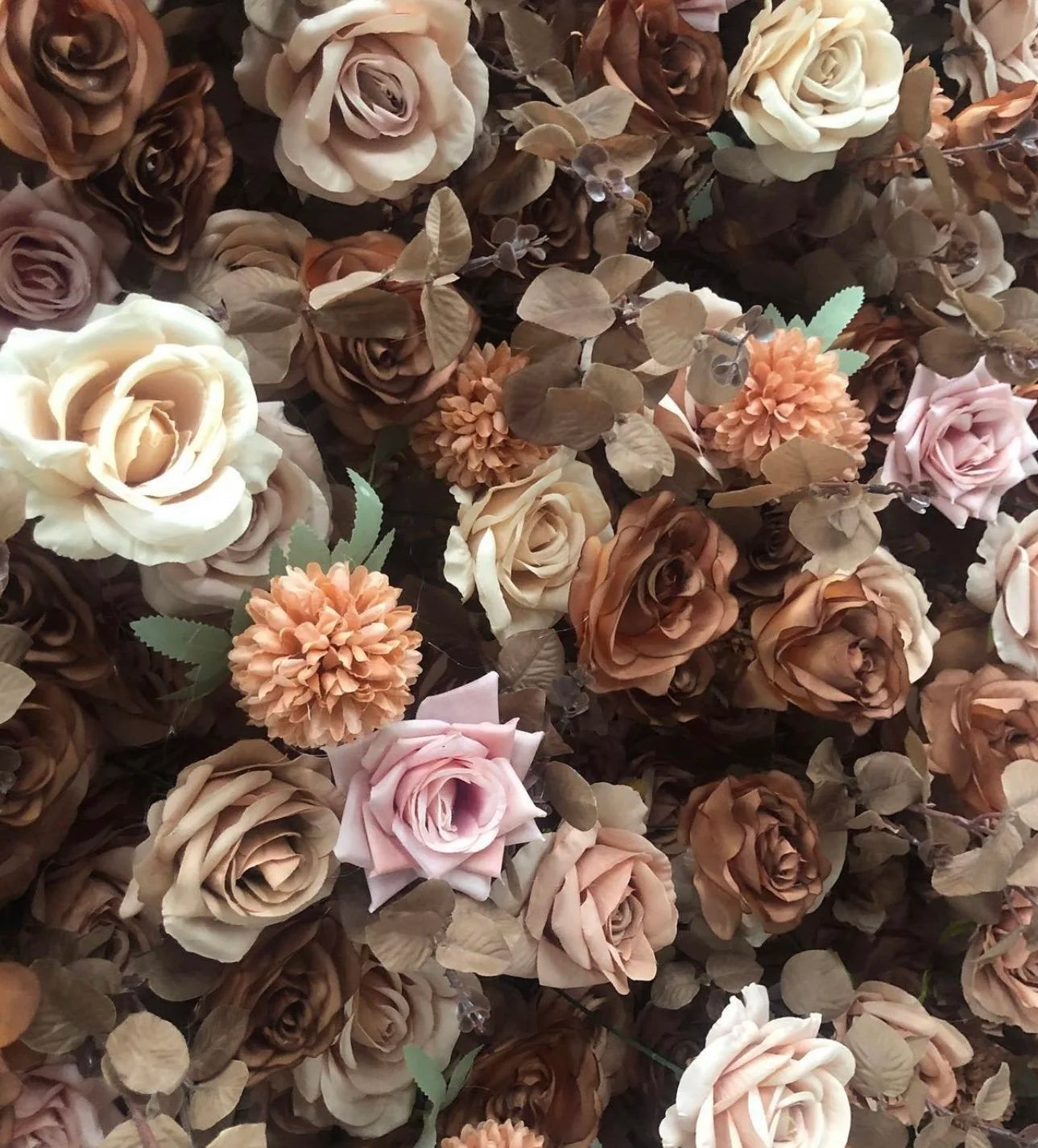 Brown, Cream and White Rose Premium Flower Wall - 130