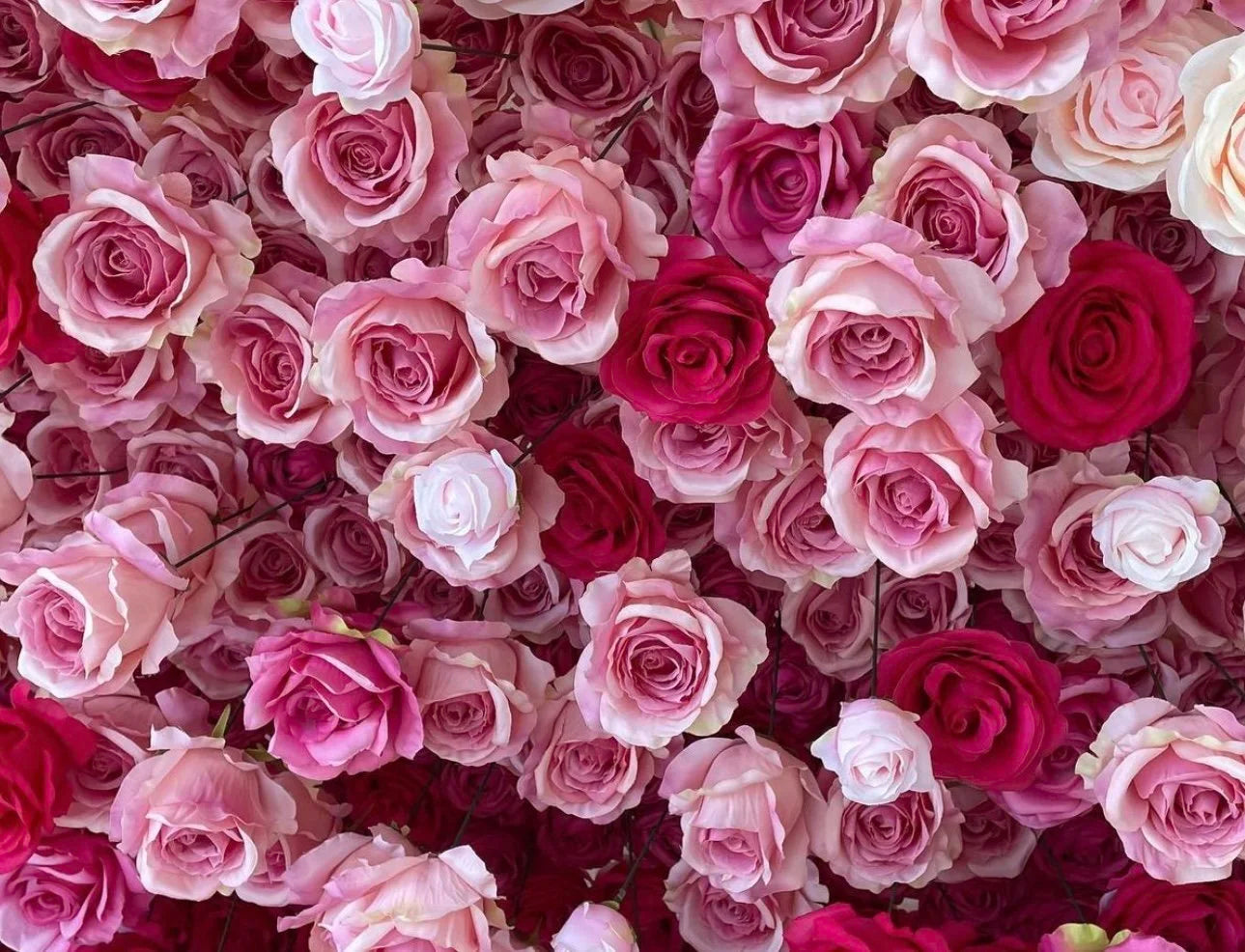 Pink & White Premium Ombre Flower Wall - 112