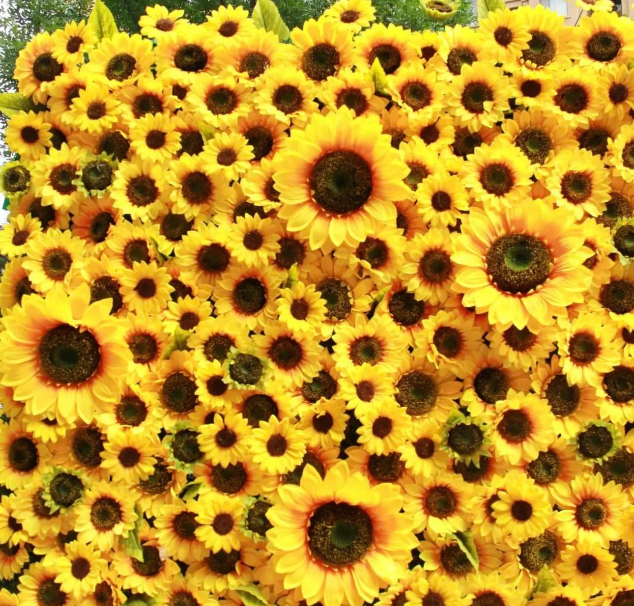 Deluxe Yellow Sunflower Wall - 090