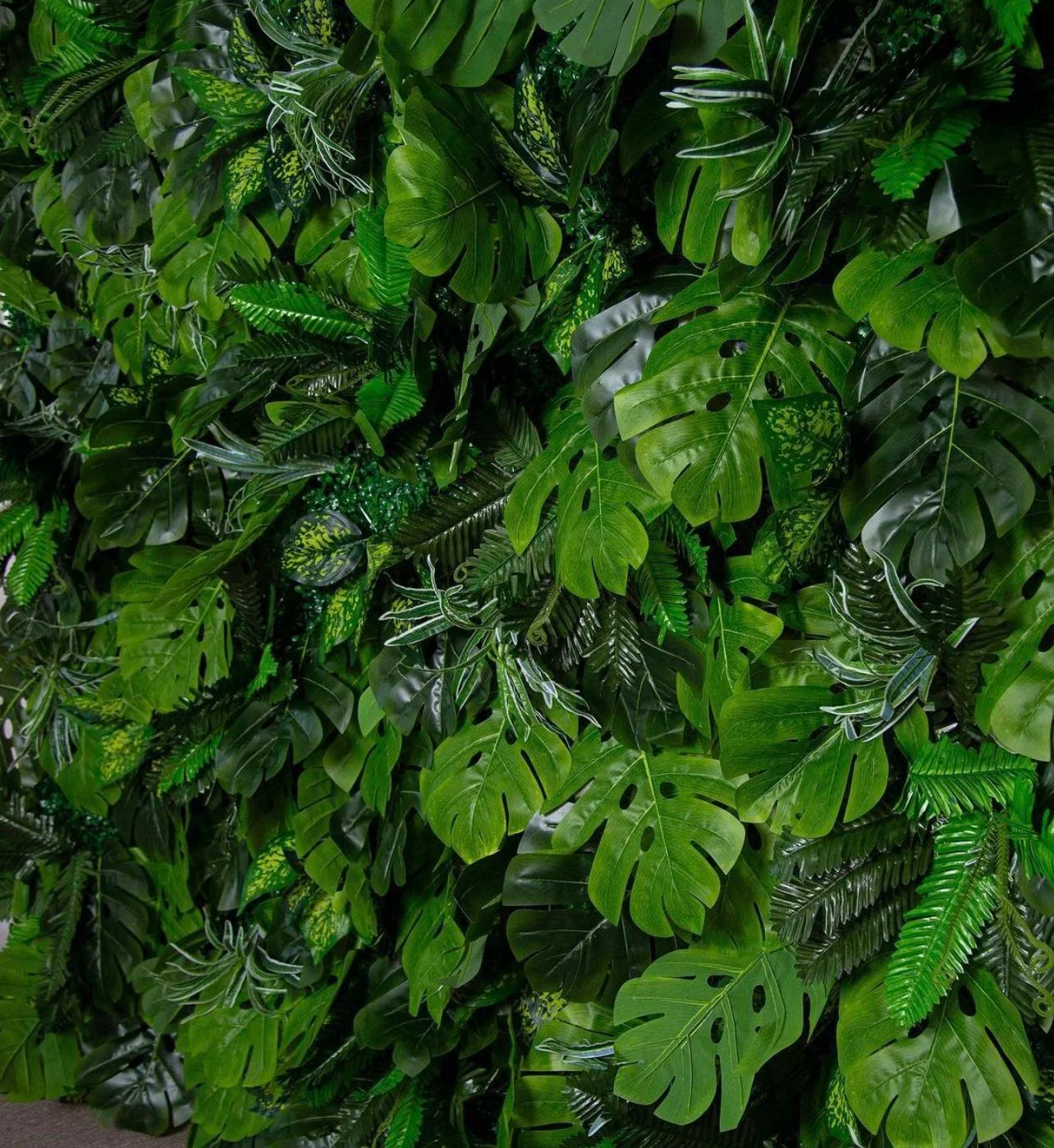 Tropical Wetland Greenery Wall - 503