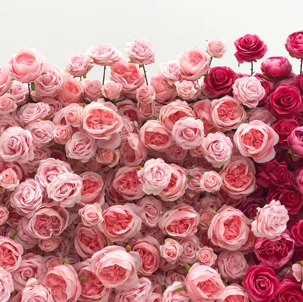 Pink & Red Cream Premium Rose Flower Wall - 106