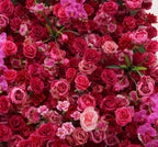 Watermelon Fuchsia Premium Rose Flower Wall - 117