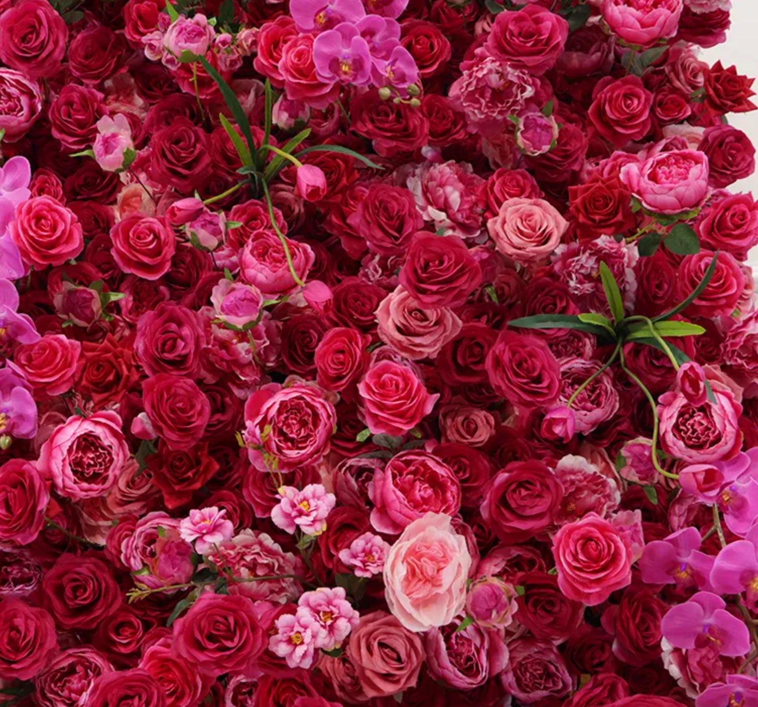 Watermelon Fuchsia Premium Rose Flower Wall - 117