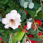 Starburst Premium Wild Floral Flower Wall - 149