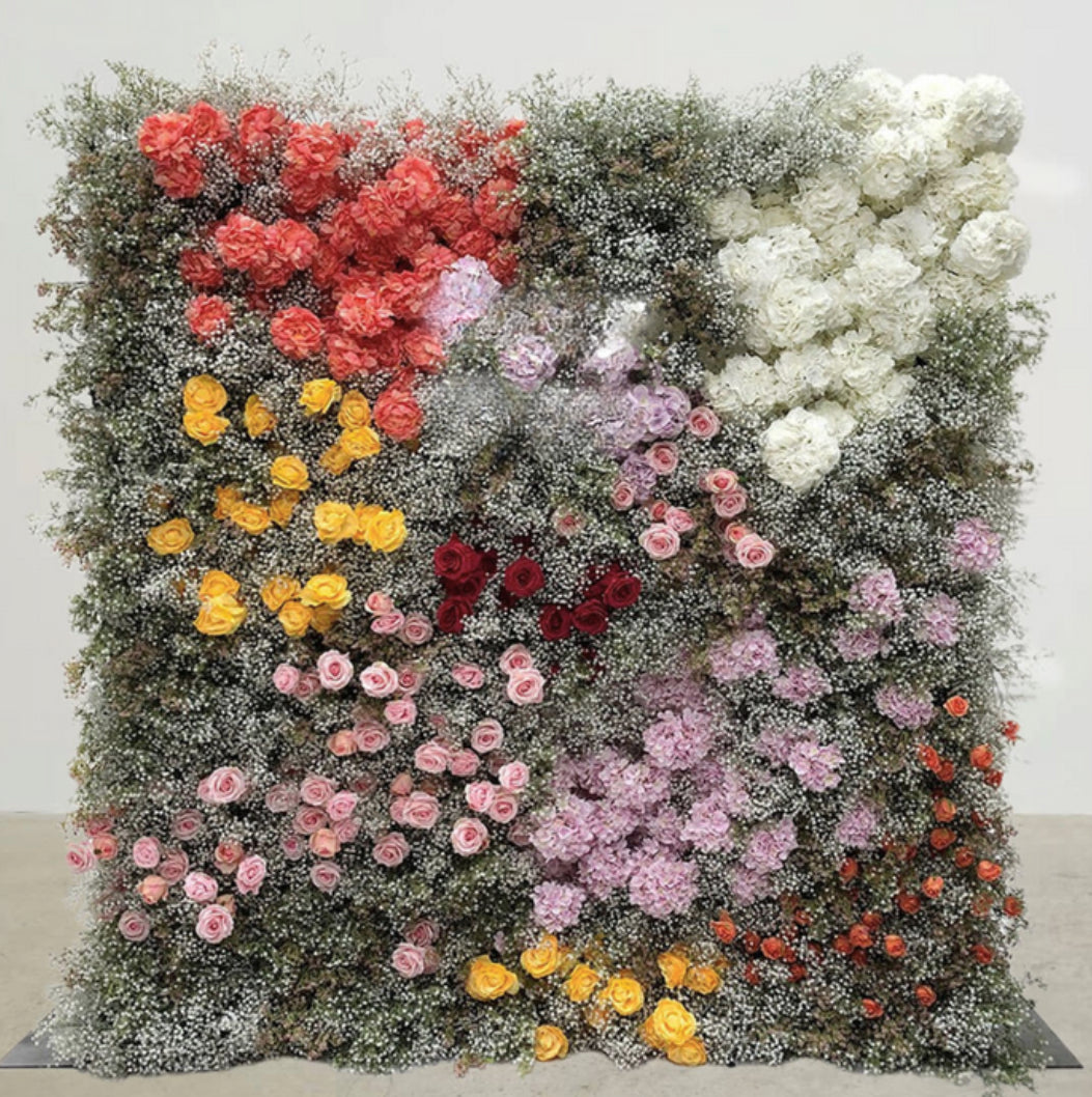 Babys Breath White, Orange, Yellow and Pink Premium Flower Wall - 011