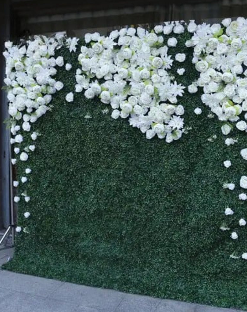 Classic Greenery Hedge with White Rose Design Premium Wall - 524