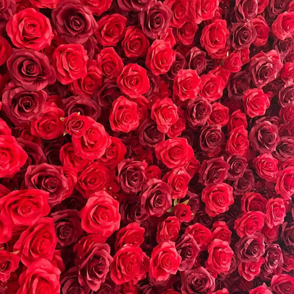 Full Red Rose Premium Floral Heart - 4910