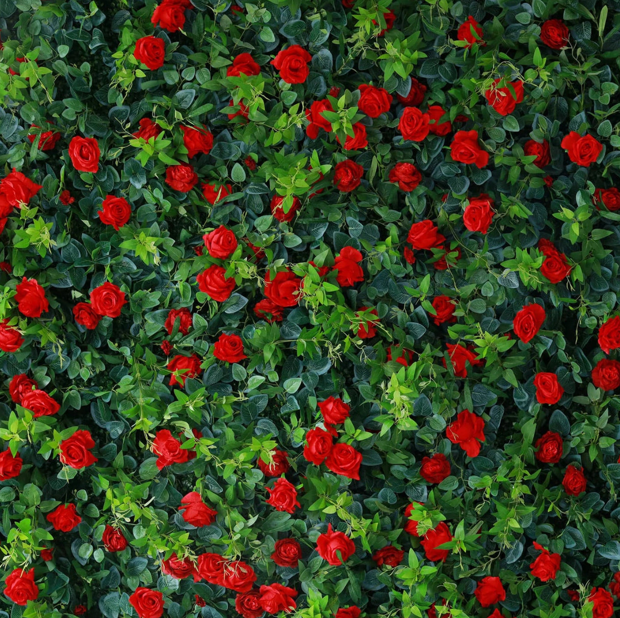 Red Rose Greenery Premium Flower Wall - 009