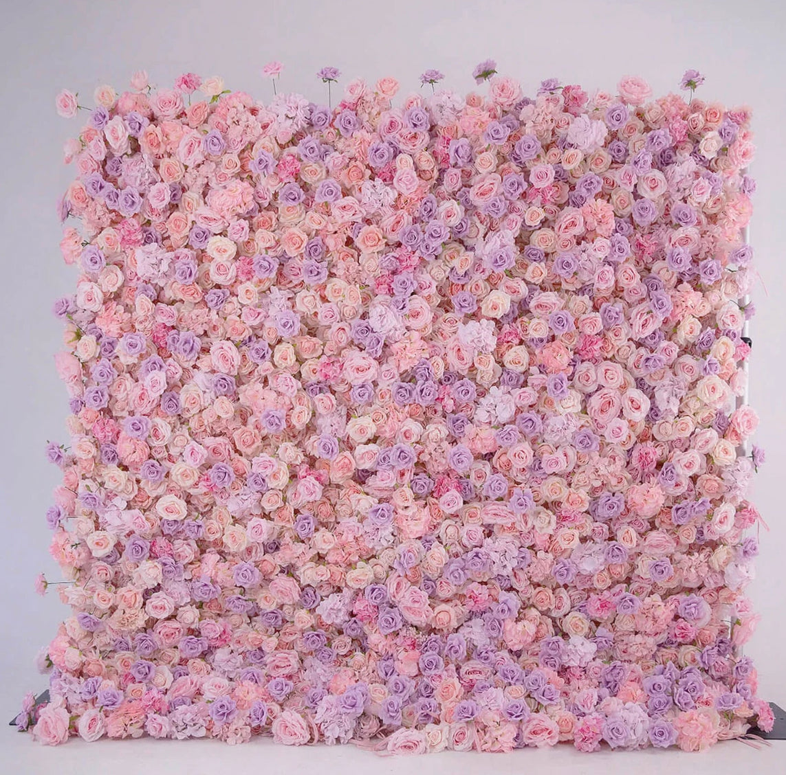 Premium Purple and Pink Wild Rose Flower Wall - 010