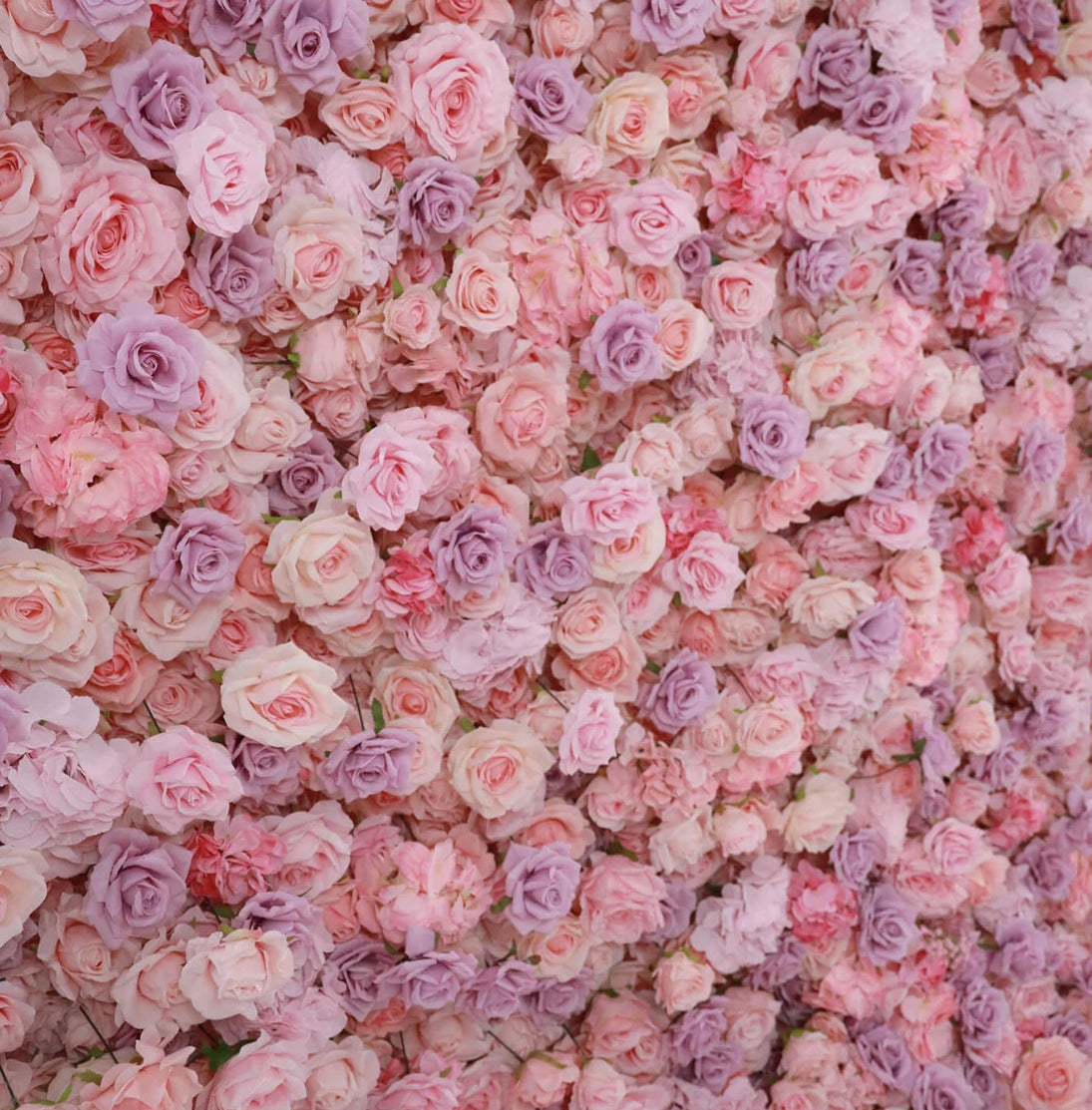 Premium Purple and Pink Wild Rose Flower Wall - 010